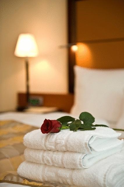 Aparthotel Premier Podgorica Rum bild